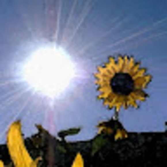 Meet your Posher, Beverly - Picture 1 of 1